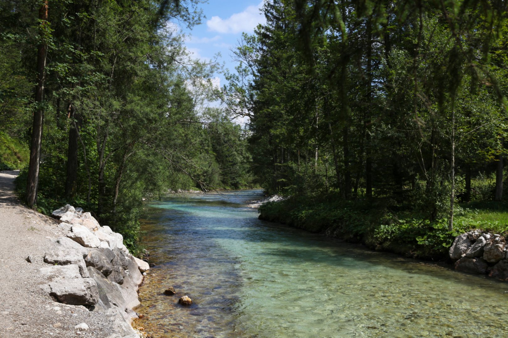 An image depicting the trail Tambergau - Sonnleiten Loop Trail and its surrounding area.