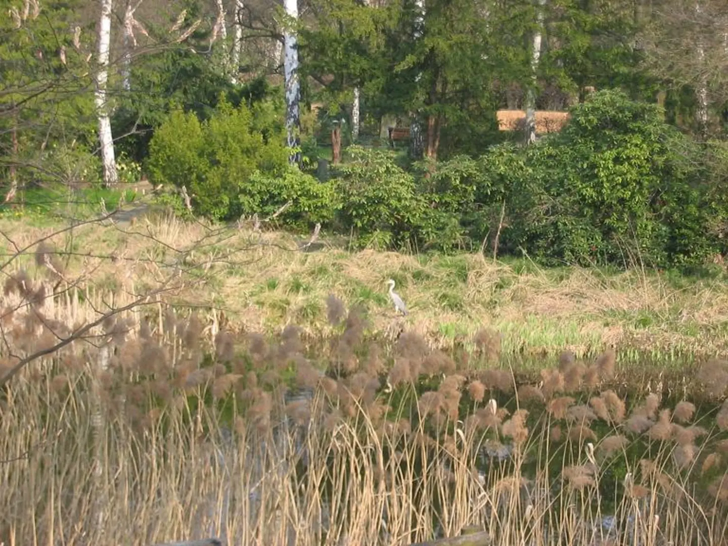 An image depicting the trail Klobichsee and Großer Klobichsee via Klobichsee Rundweg and its surrounding area.