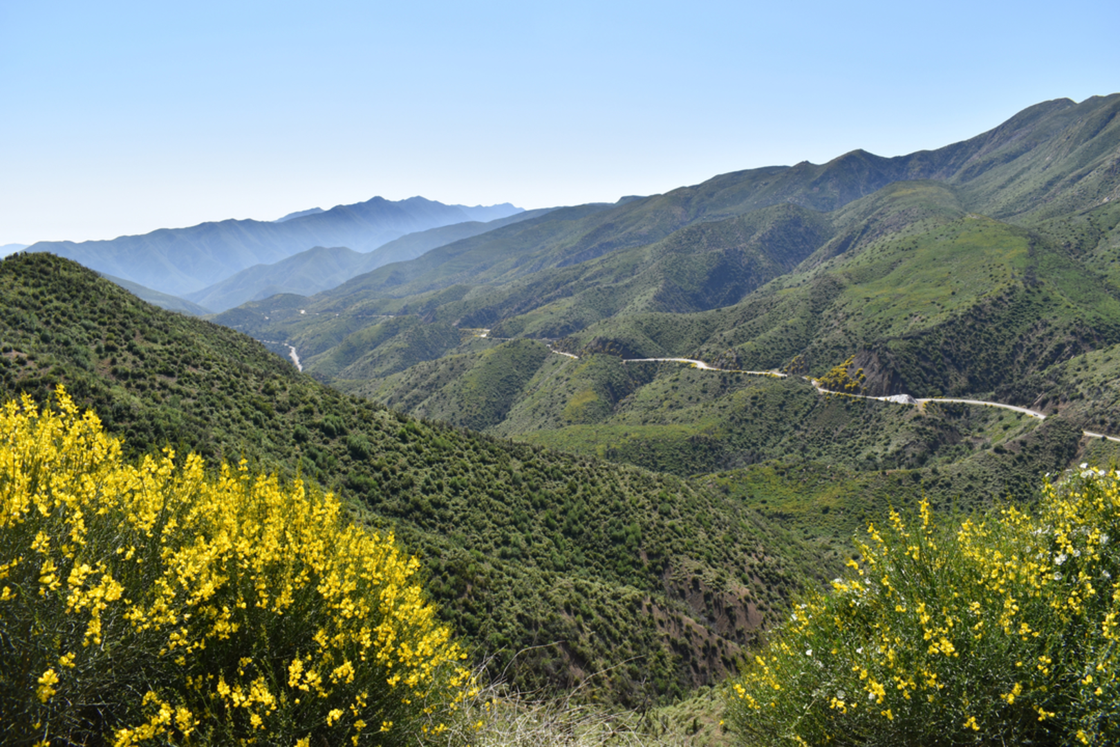An image depicting the trail Deal Trail and its surrounding area.