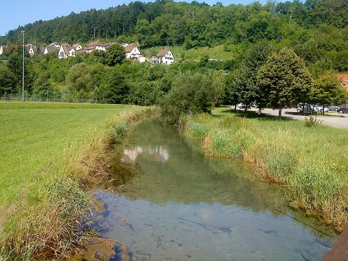 Hochgrab Graf Ottos II von Geldern and Niersaltarme und Mühlenteiche Loop via Mass Niederrheinpad E