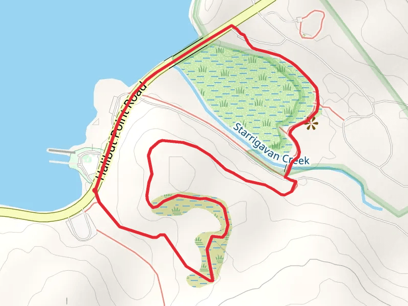 Ben Grussendorf Forest and Muskeg Loop Trail