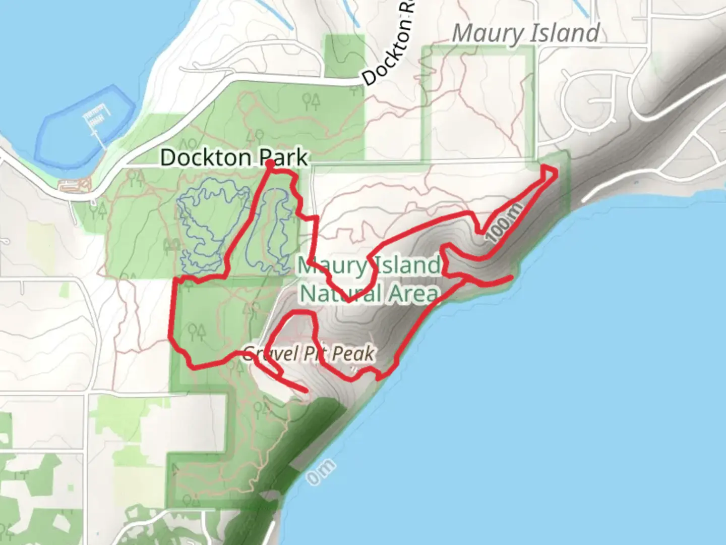 An image depicting the trail Vashon Gravel Pit Loop and its surrounding area.