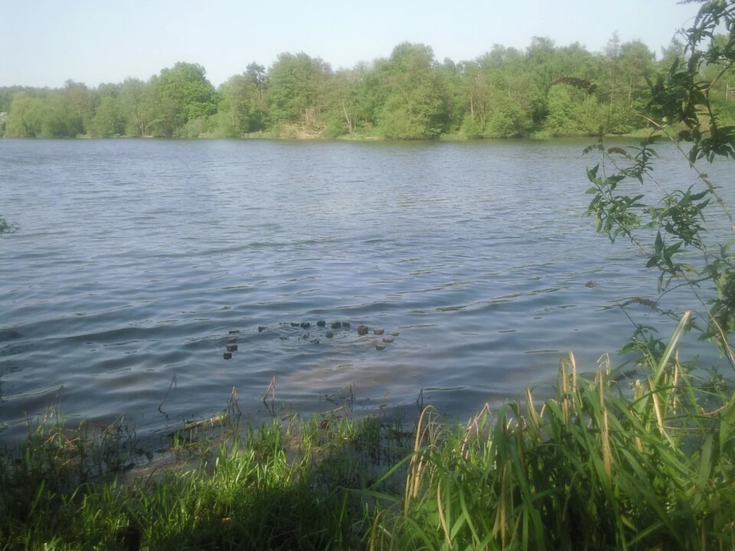 An image depicting the trail East Lake Loop - Sevenoaks Wildlife Reserve and its surrounding area.