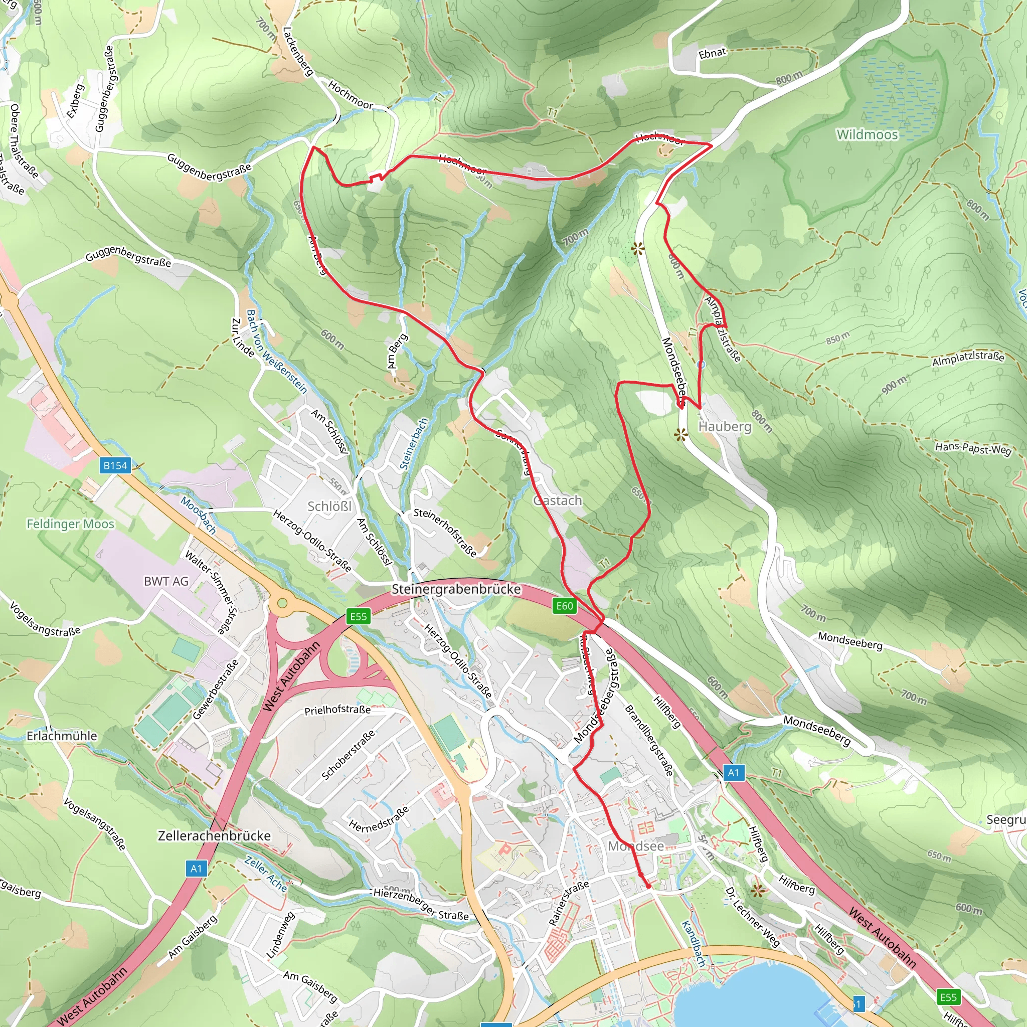 Hauberg to Neuhäusl and Koglerbinder mobile static map