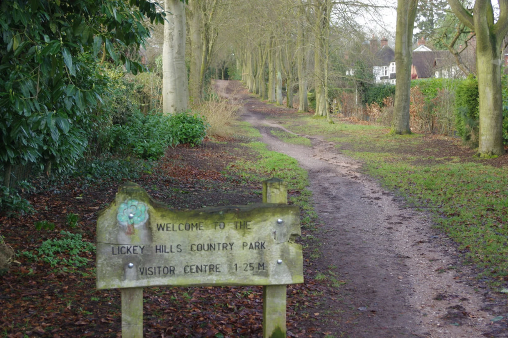 An image depicting the trail Lickey Hills Country Park Loop and its surrounding area.