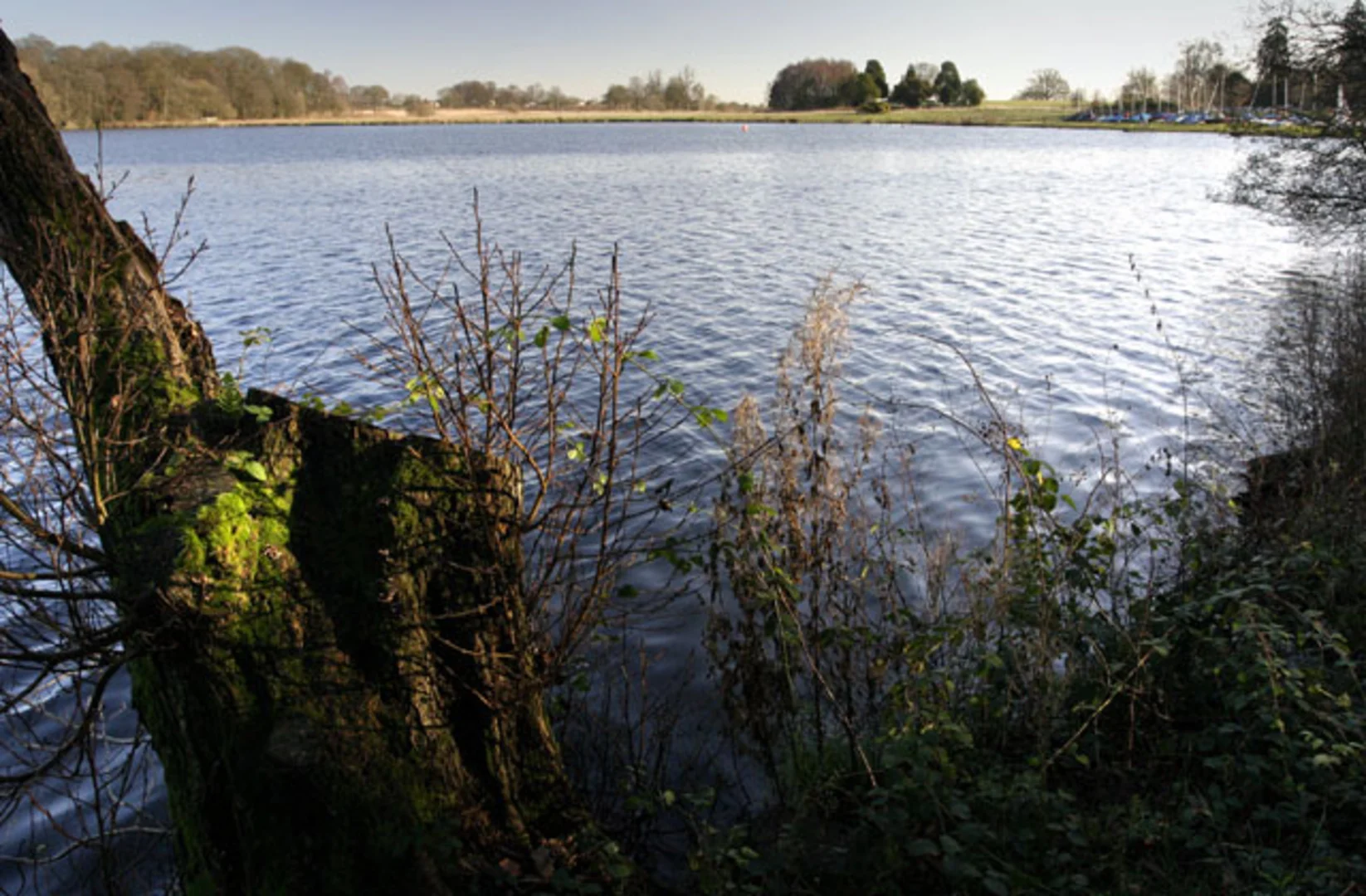 An image depicting the trail The Mere and Colemere and Blake Mere via Shropshire Way Main Route and its surrounding area.