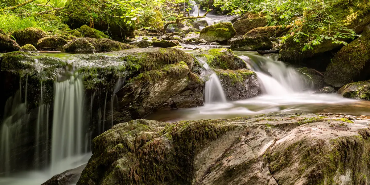 Hoaroak Valley Archaeology Walk