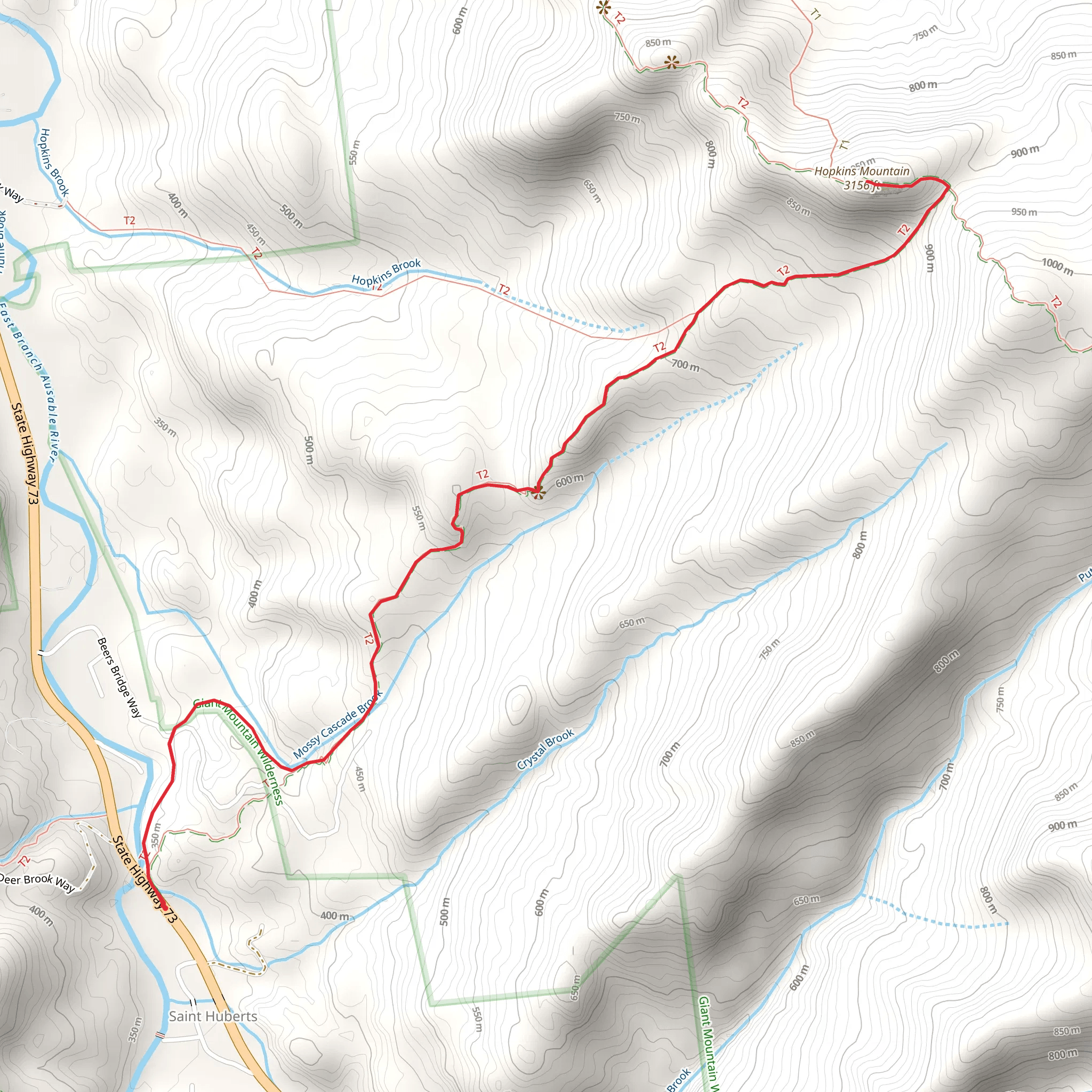 Hopkins Mountain and Mossy Cascade Brook mobile static map