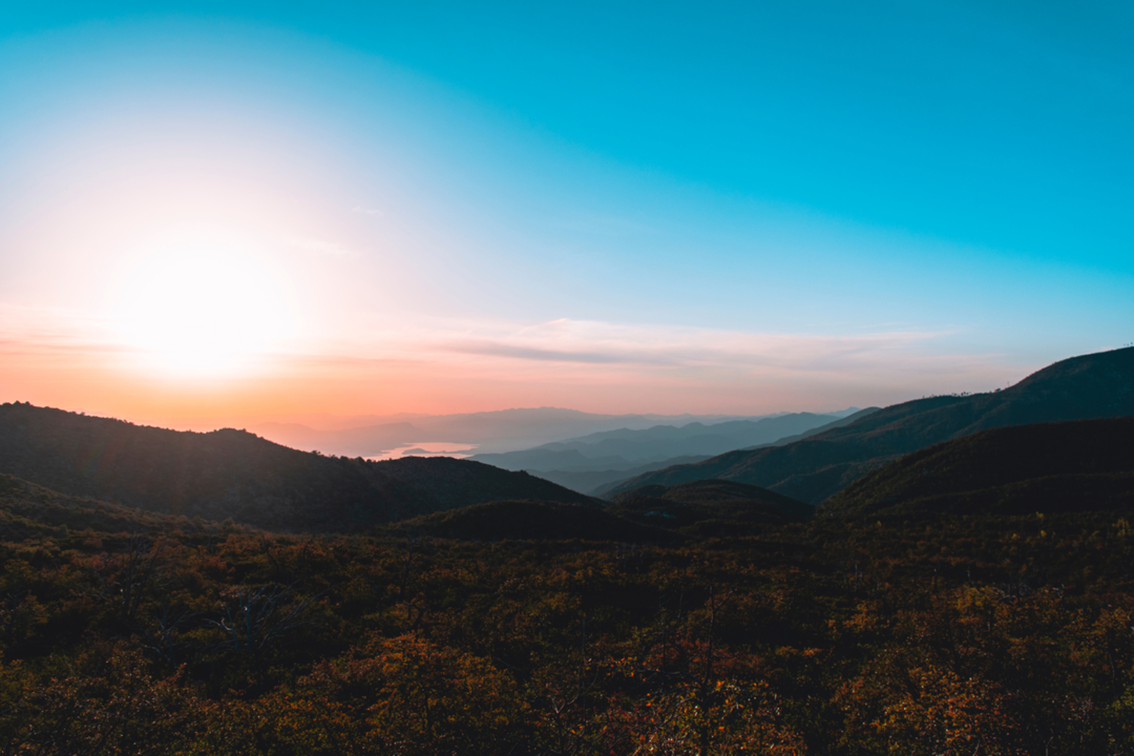 An image depicting the trail Browns Peak Trail and its surrounding area.