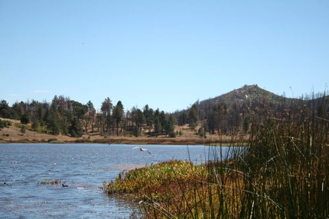 An image depicting the trail Lake Cuyamaca and its surrounding area.