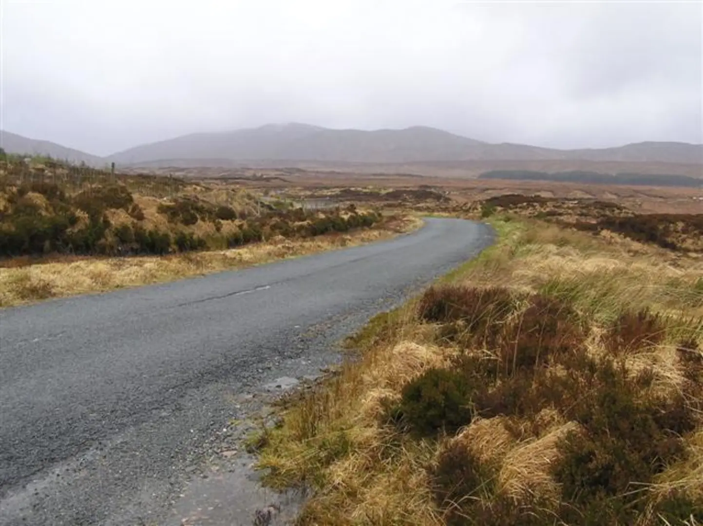 An image depicting the trail Cruach Eoghanach Walk and its surrounding area.