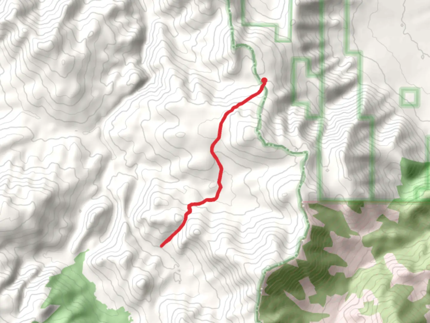 An image depicting the trail Carrol Valley Creek and its surrounding area.