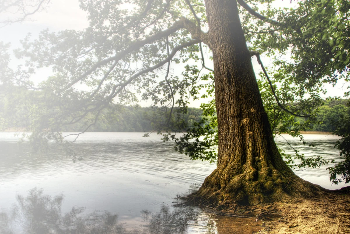 Schlachtensee Loop via Wannseeweg