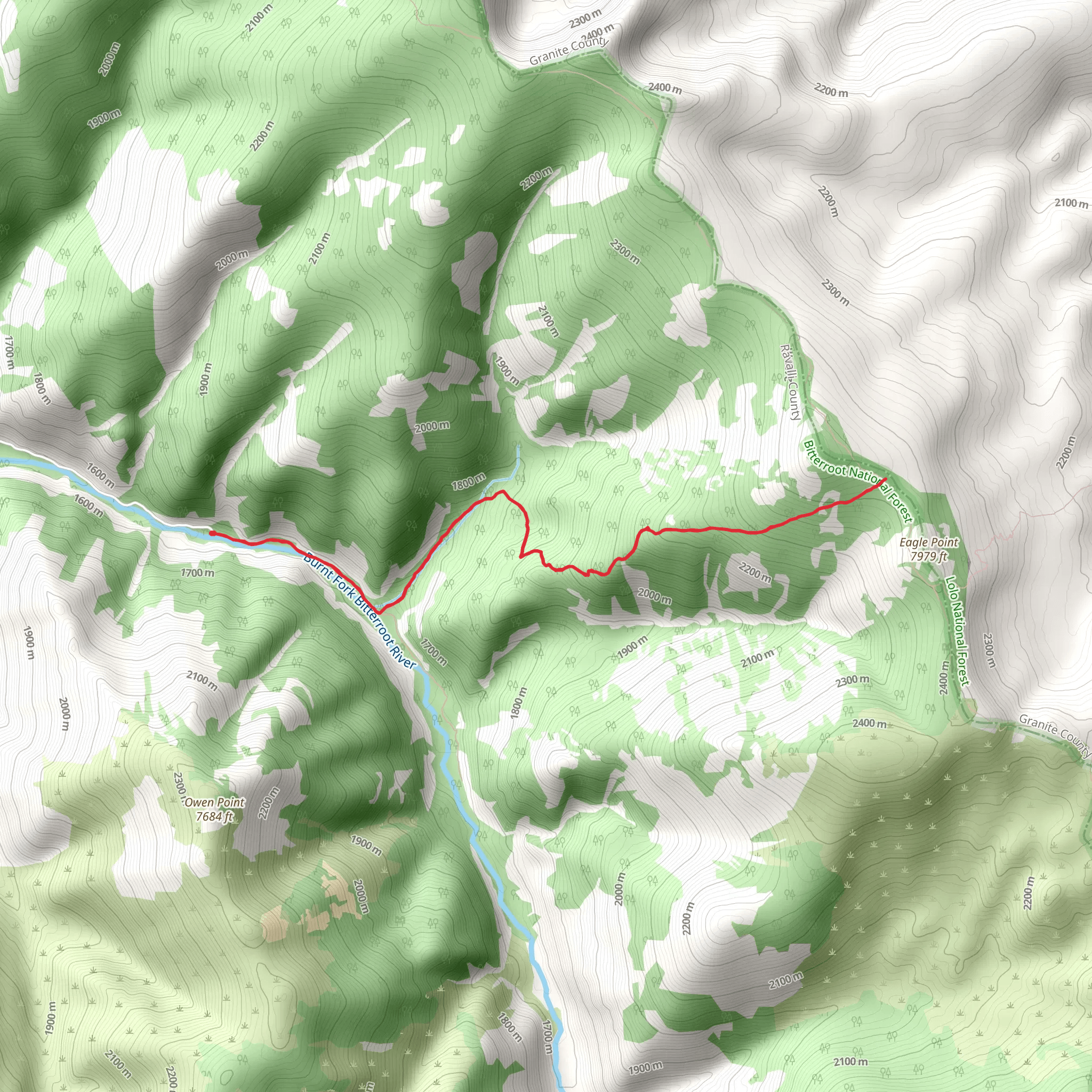 Bitterroot Big Springs Trail via Burnt Fork Trail mobile static map