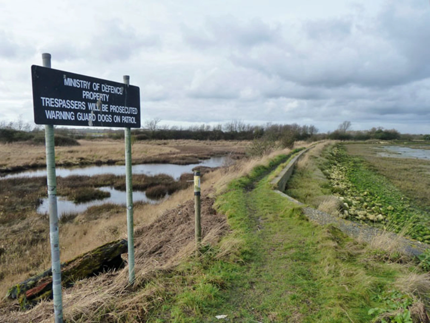 An image depicting the trail Thorney Island Loop from Nutbourne and its surrounding area.