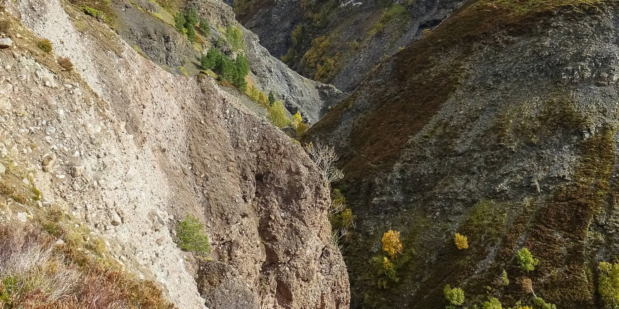 An image depicting the trail Tomintoul Trail - Tomintoul Circular Walk and its surrounding area.