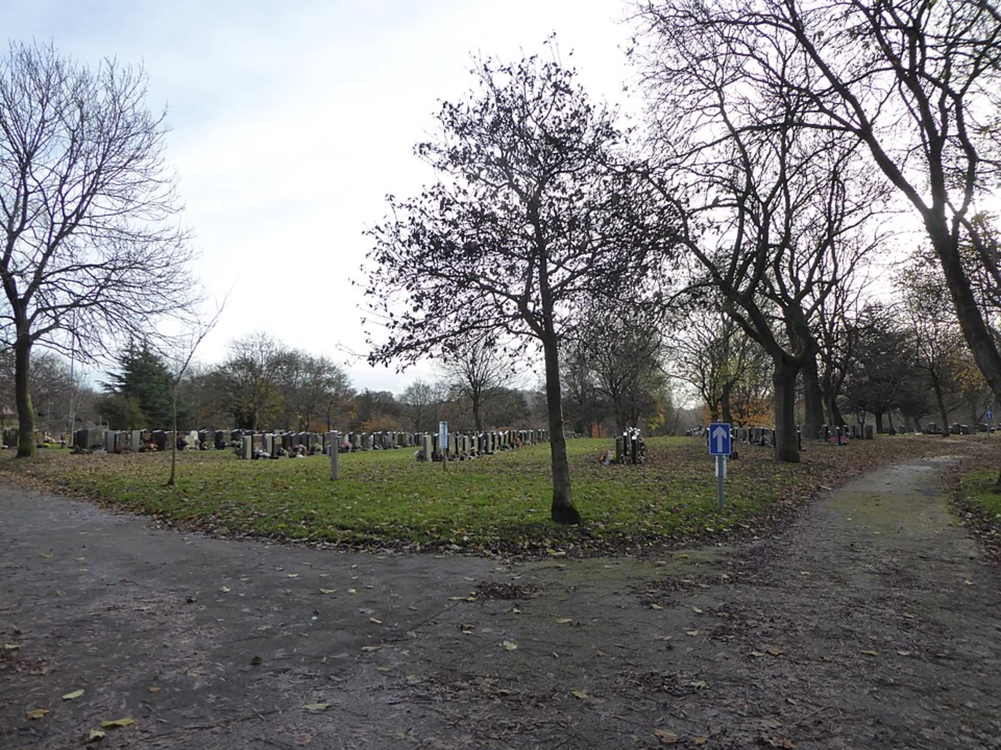 An image depicting the trail Burslem Short Loop and its surrounding area.