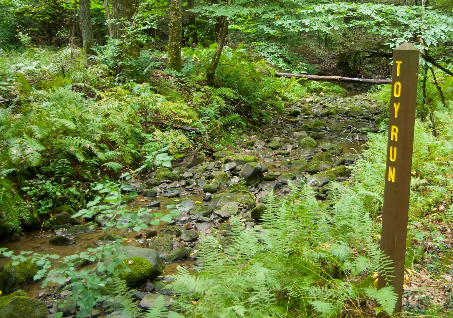 An image depicting the trail Oil Creek and its surrounding area.
