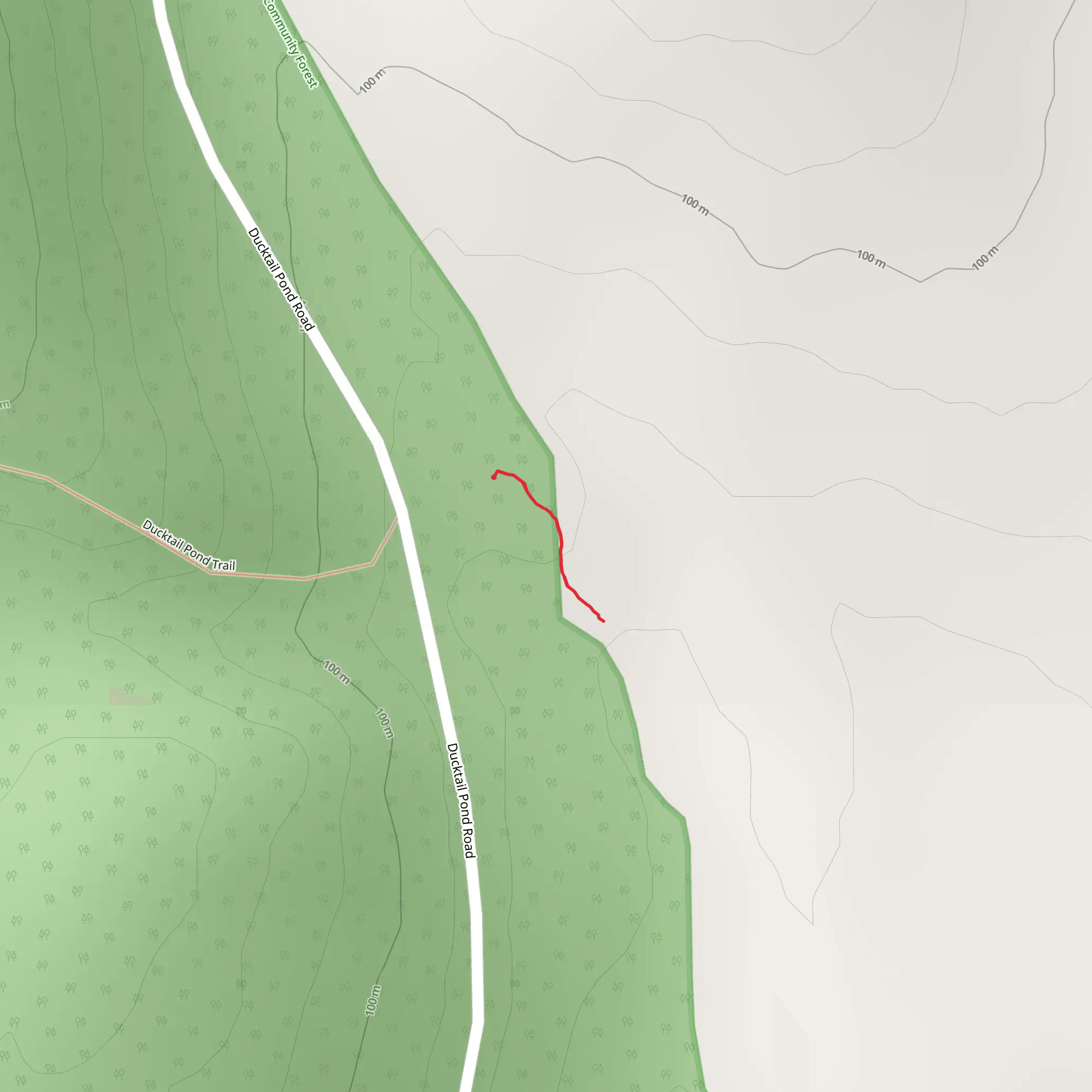 Ducktail Pond Road mobile static map