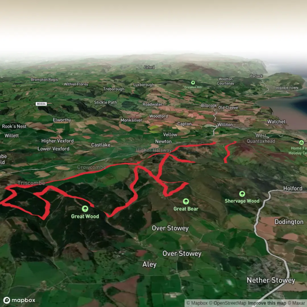 An image depicting the trail Bicknoller Combe, Weacombe Combe, Lady's Edge and Rams Combe Loop and its surrounding area.