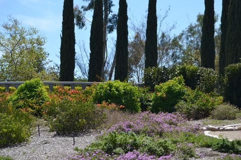 An image depicting the trail Niguel Botanical Preserve Loop and its surrounding area.