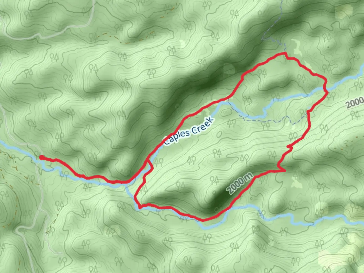 An image depicting the trail Caples Creek Loop Trail and its surrounding area.