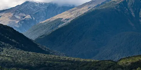 An image depicting the trail Cameron Lookout Walk and its surrounding area.