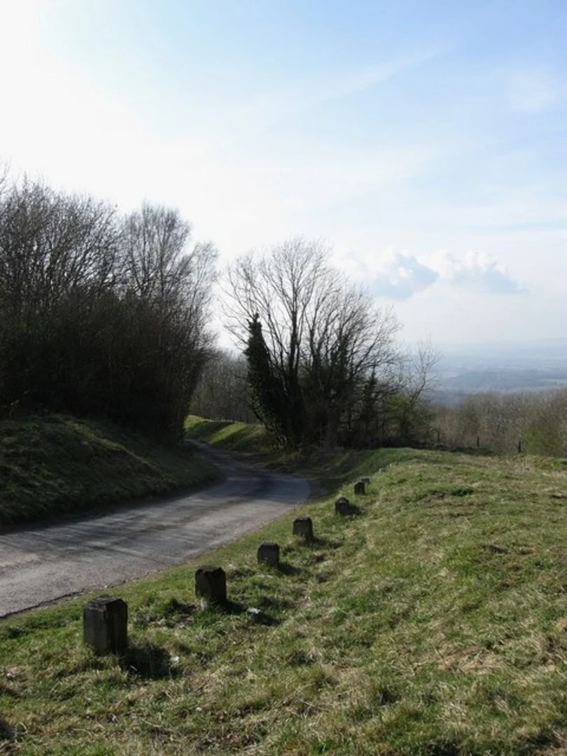 An image depicting the trail Rackham Hill and Kithurst Hill Circular and its surrounding area.