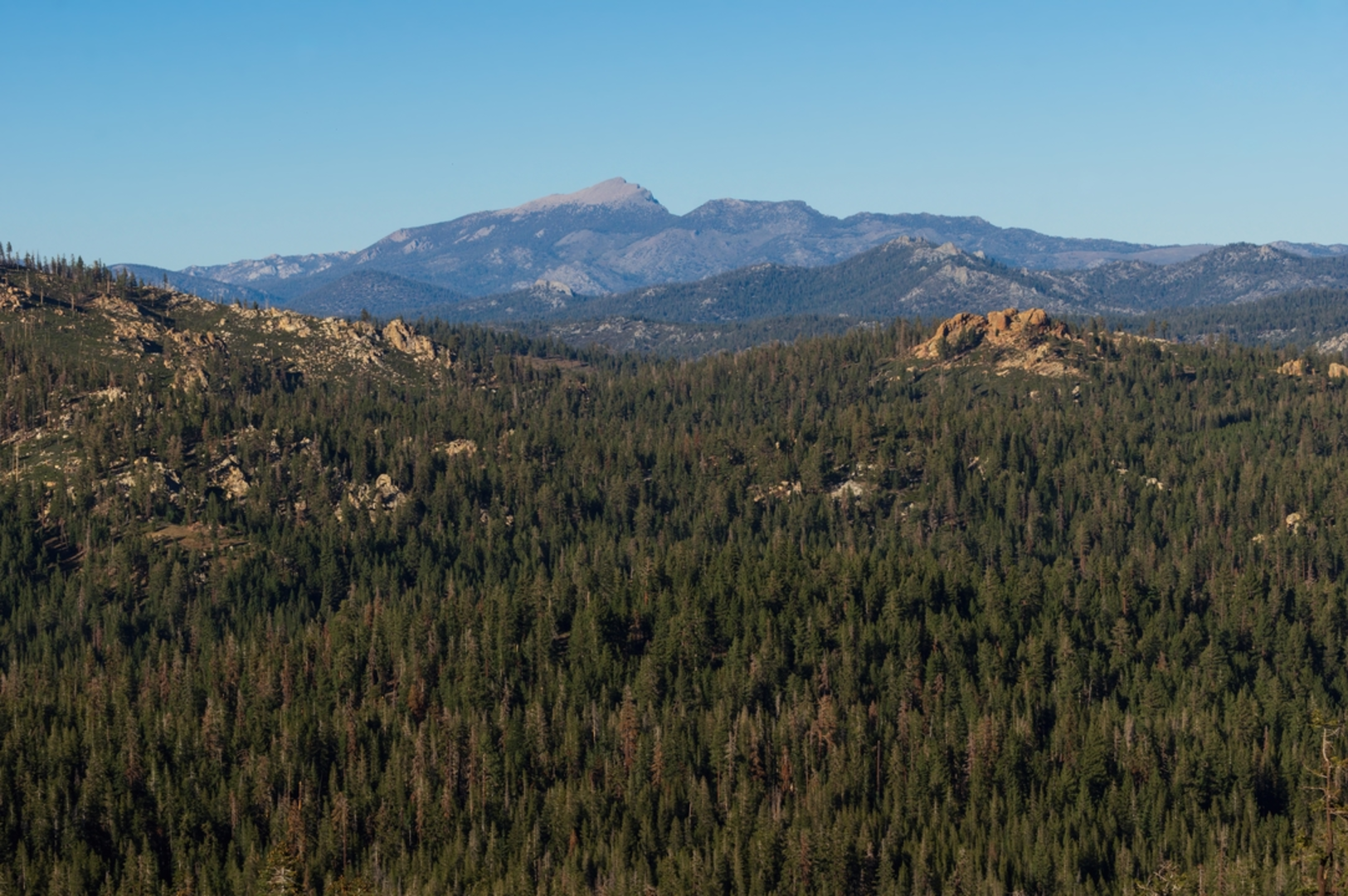 An image depicting the trail Bear Trap Meadow via Olancha Pass Trail and its surrounding area.