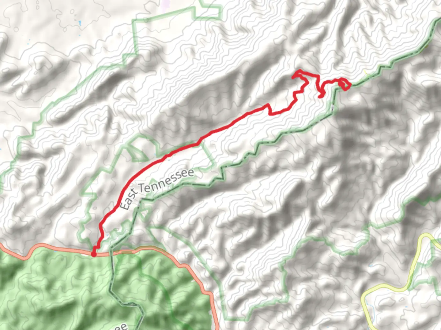An image depicting the trail Little Bald Mountain and Low Gap via Viking Mountain Road and its surrounding area.