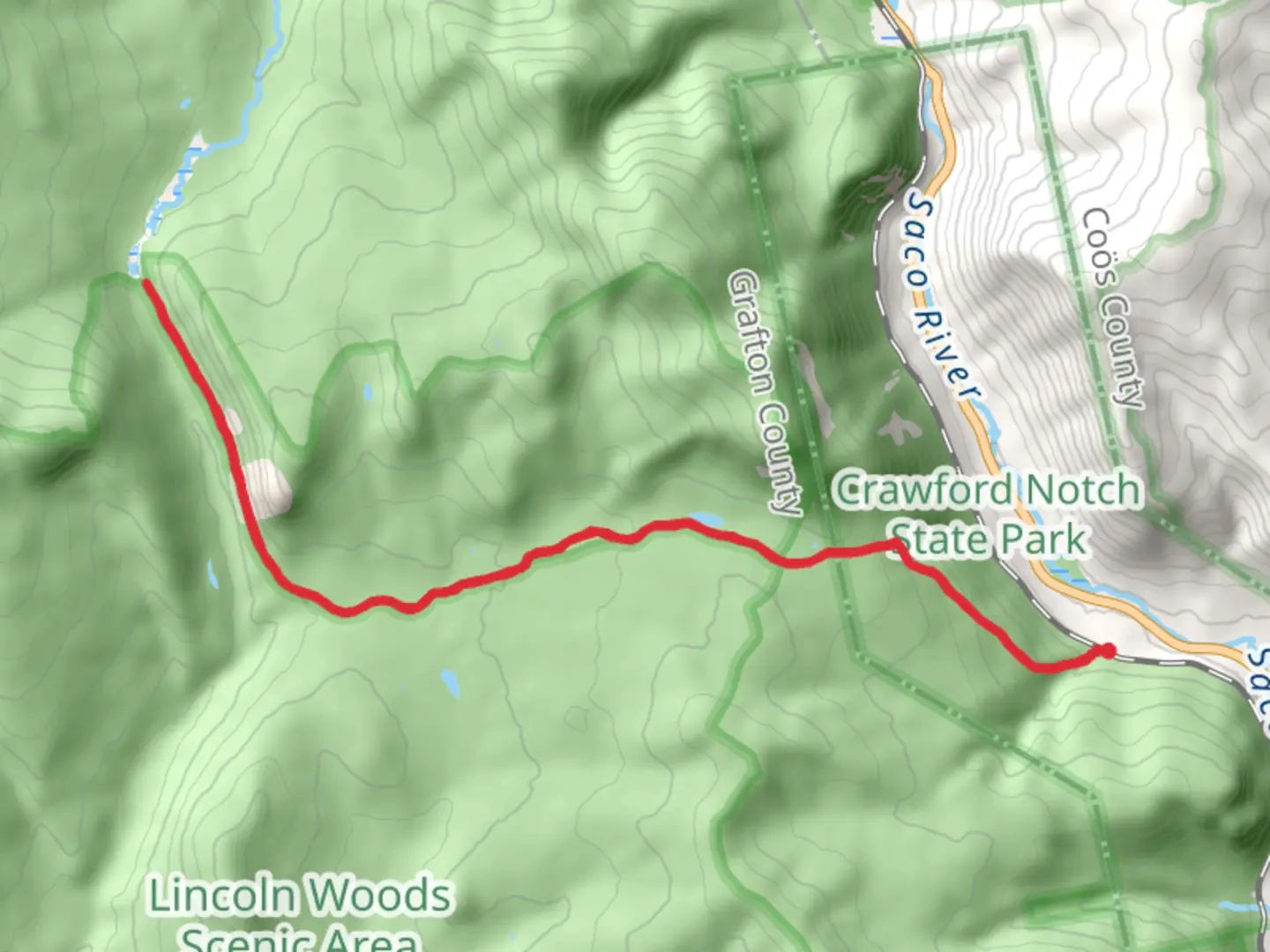 An image depicting the trail Ethan Pond Trail - Zealand Pond Trail and its surrounding area.