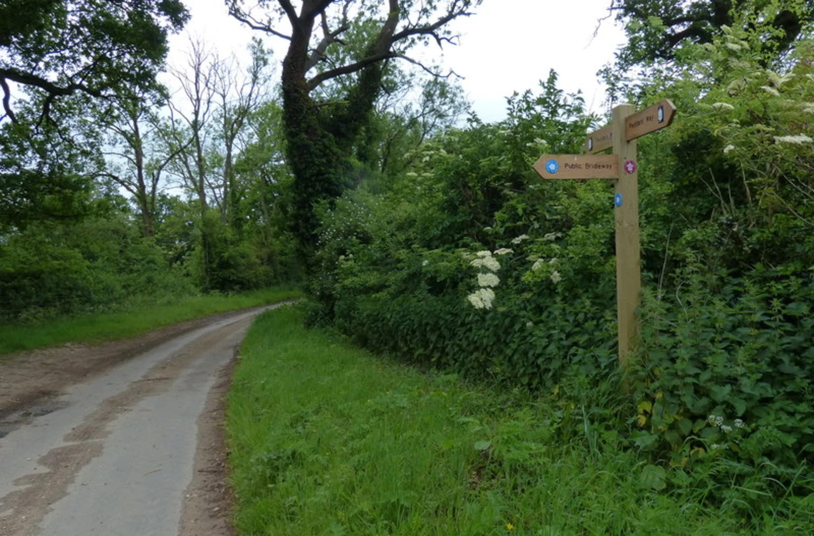 An image depicting the trail Thompson to Castle Acre Walk and its surrounding area.