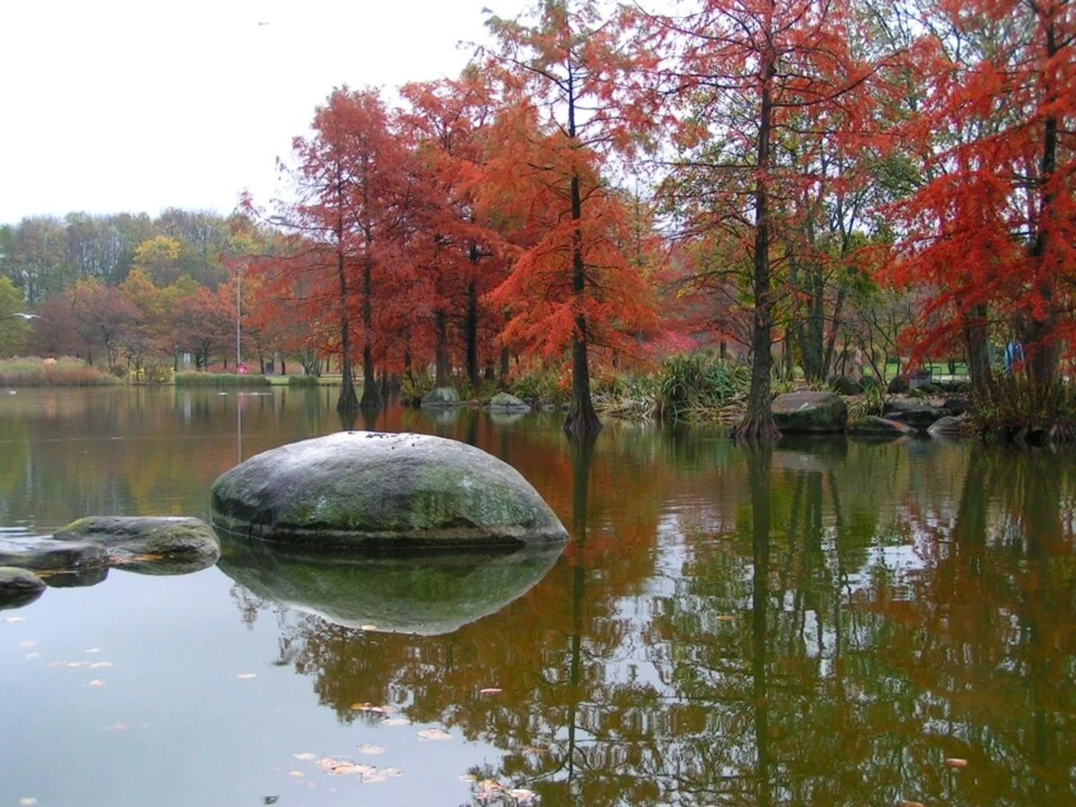 Westpark and Mollsee Loop