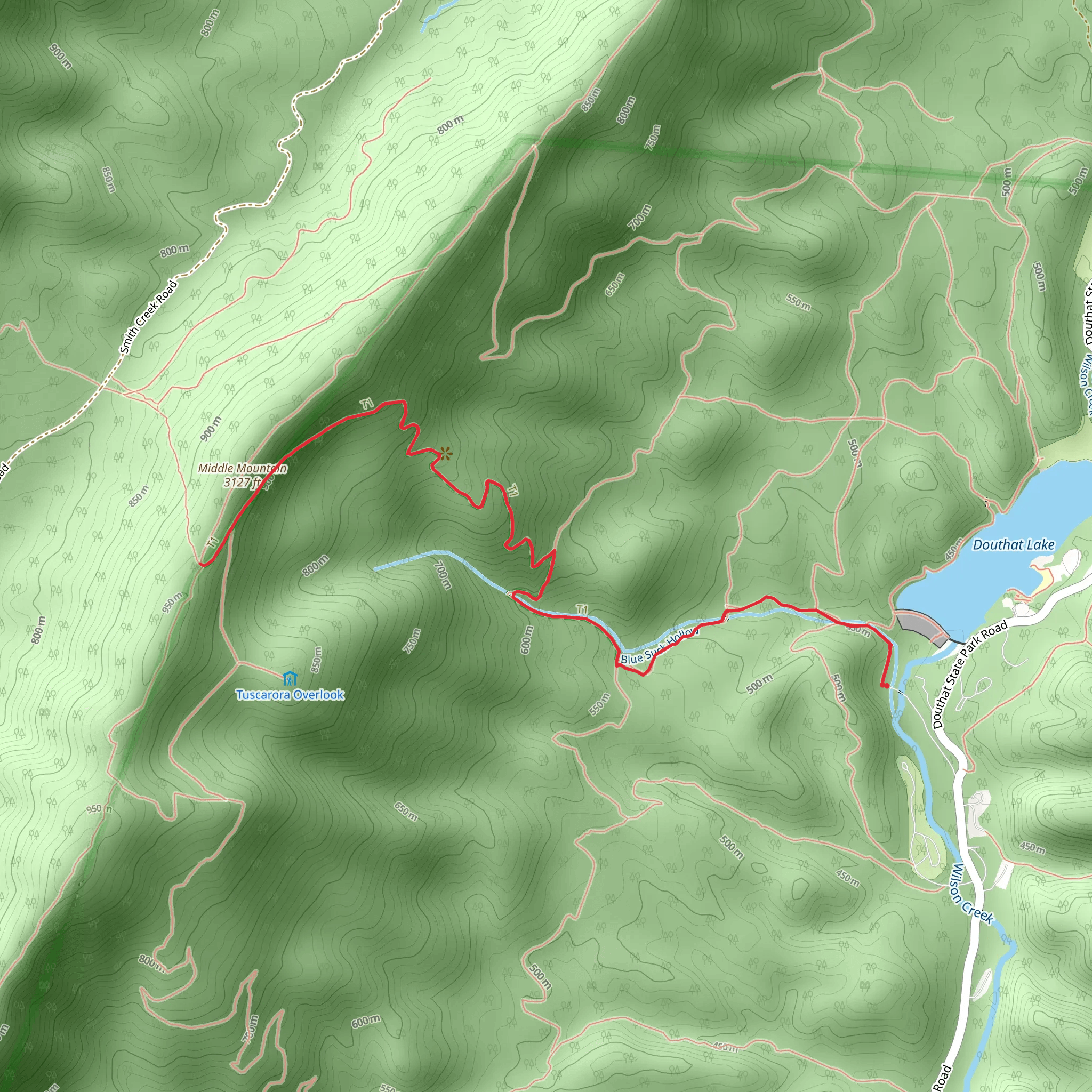 Blue Suck Falls Trail mobile static map