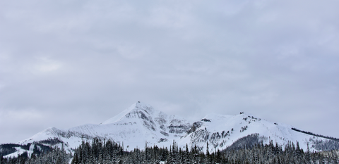 An image depicting the trail North Fork Tie Trail and its surrounding area.