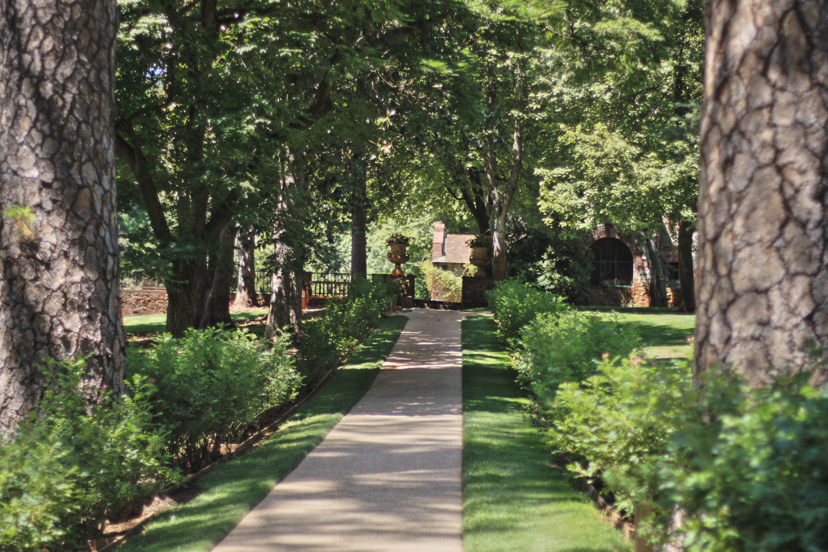 An image depicting the trail Empire Street and Hardrock Loop Trail and its surrounding area.