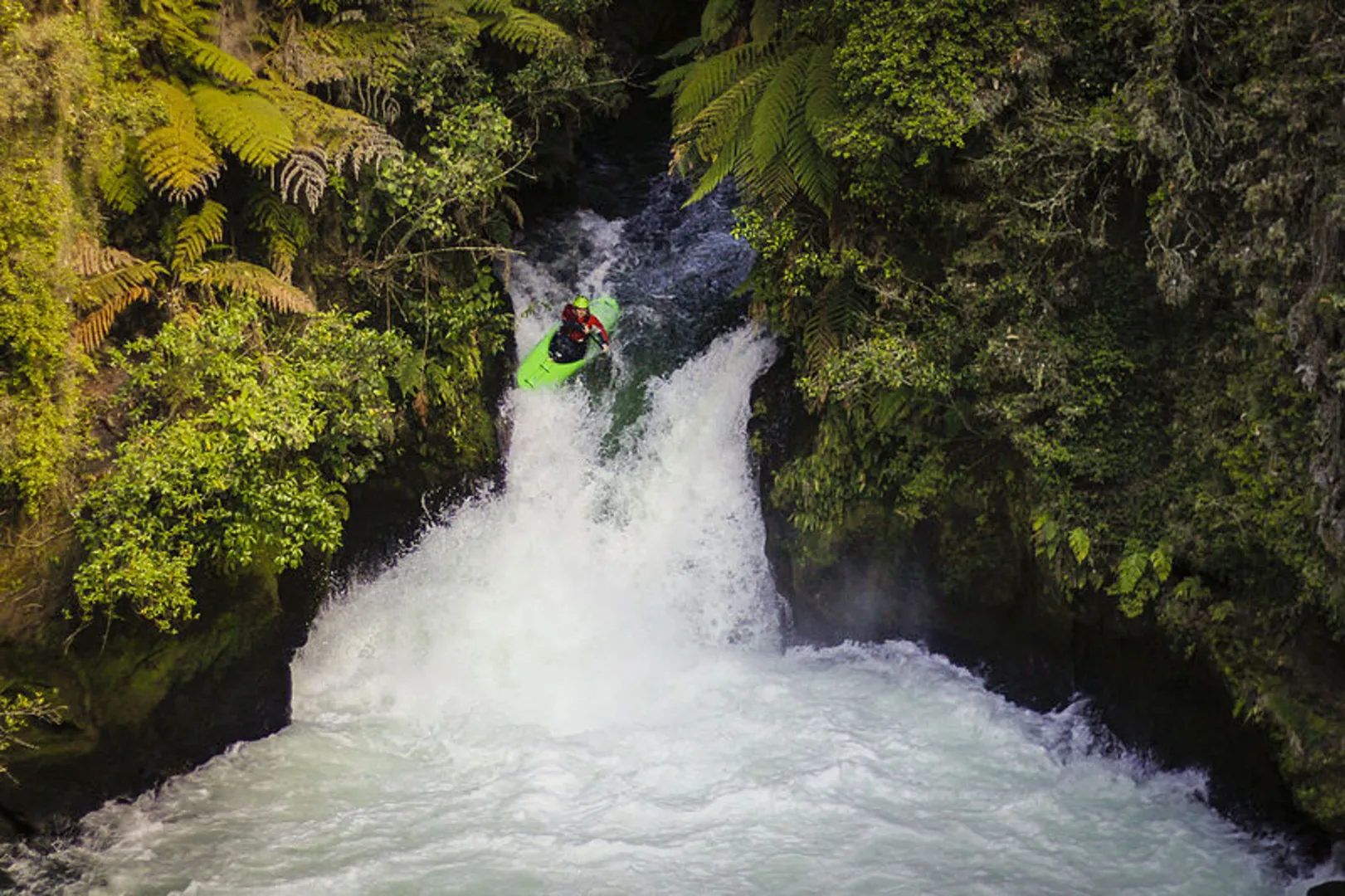 An image depicting the trail Okere Falls Track and its surrounding area.