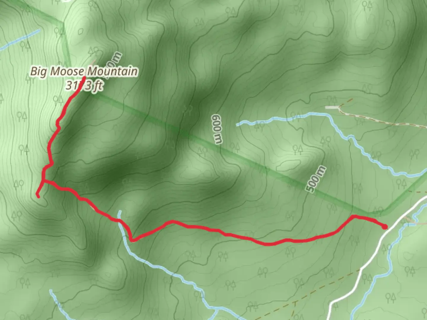 An image depicting the trail Big Moose Mountain Trail and its surrounding area.