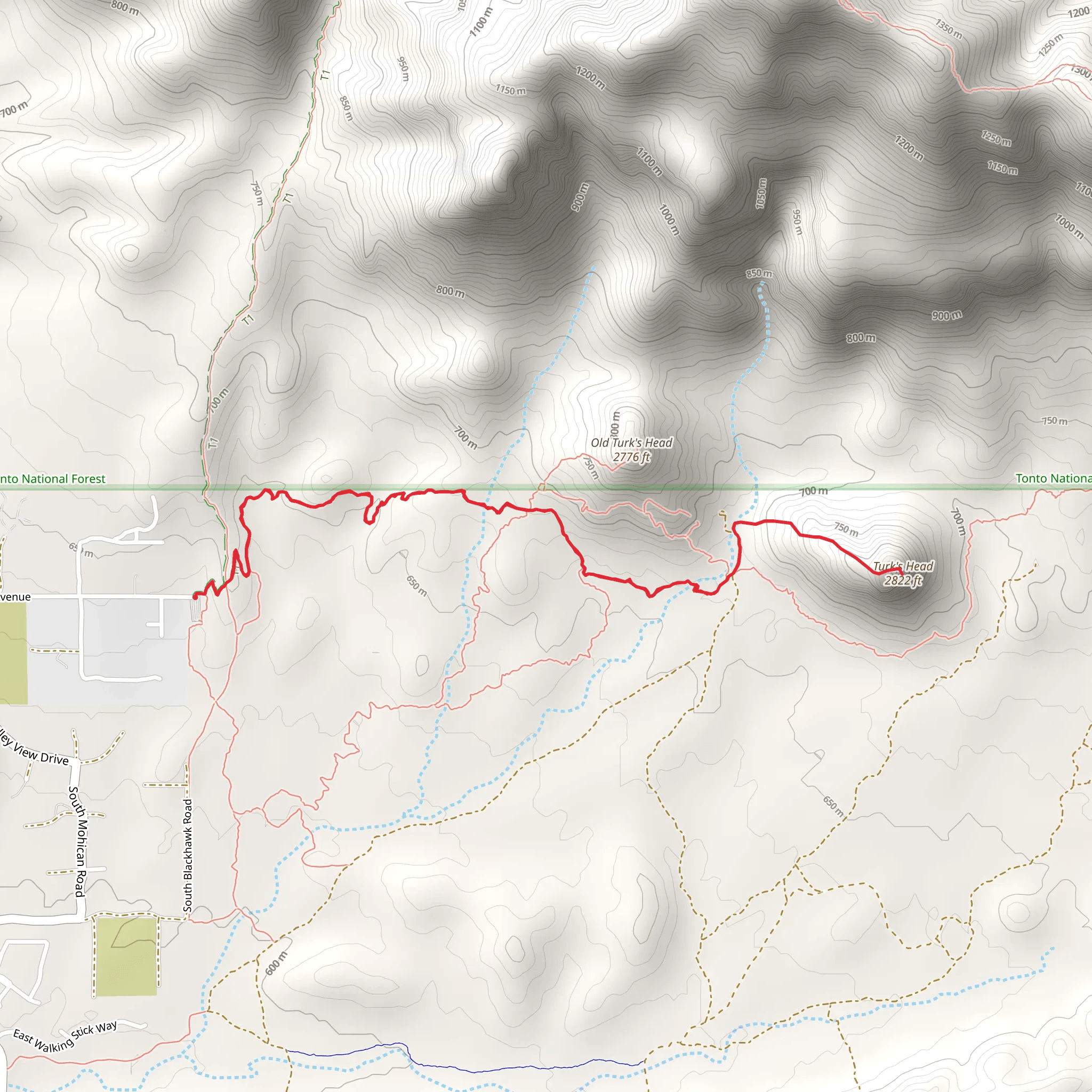 Turk's Head via Lost Goldmine Trail mobile static map