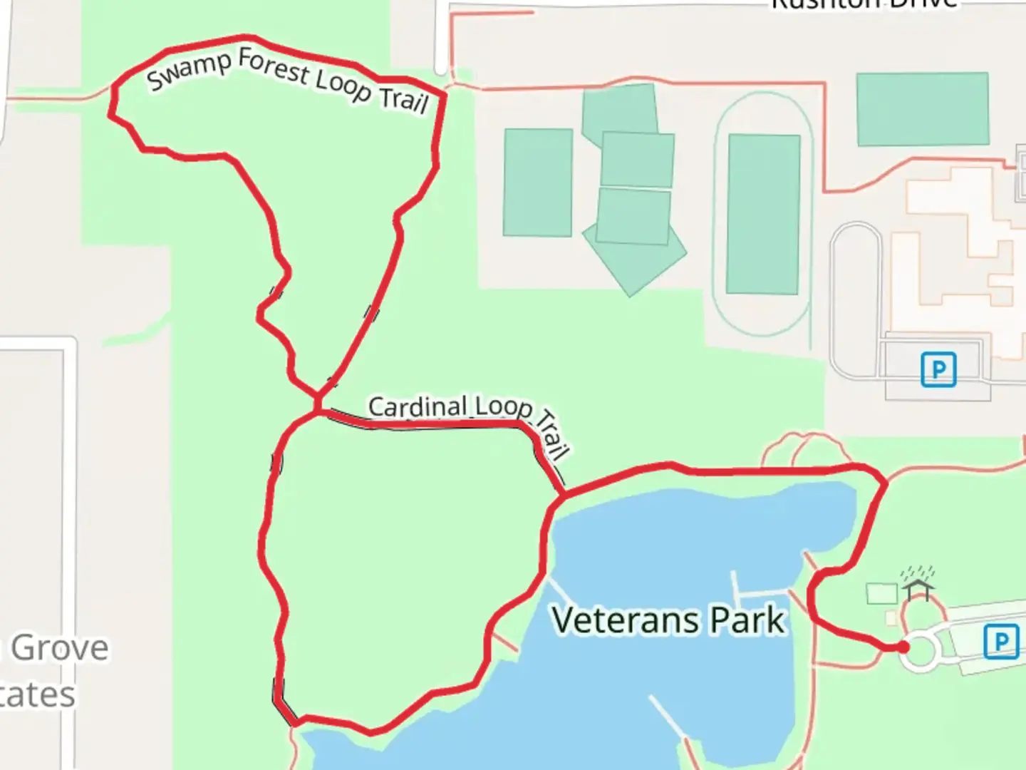 An image depicting the trail Swamp Forest and Granger Pond Loop Trail and its surrounding area.