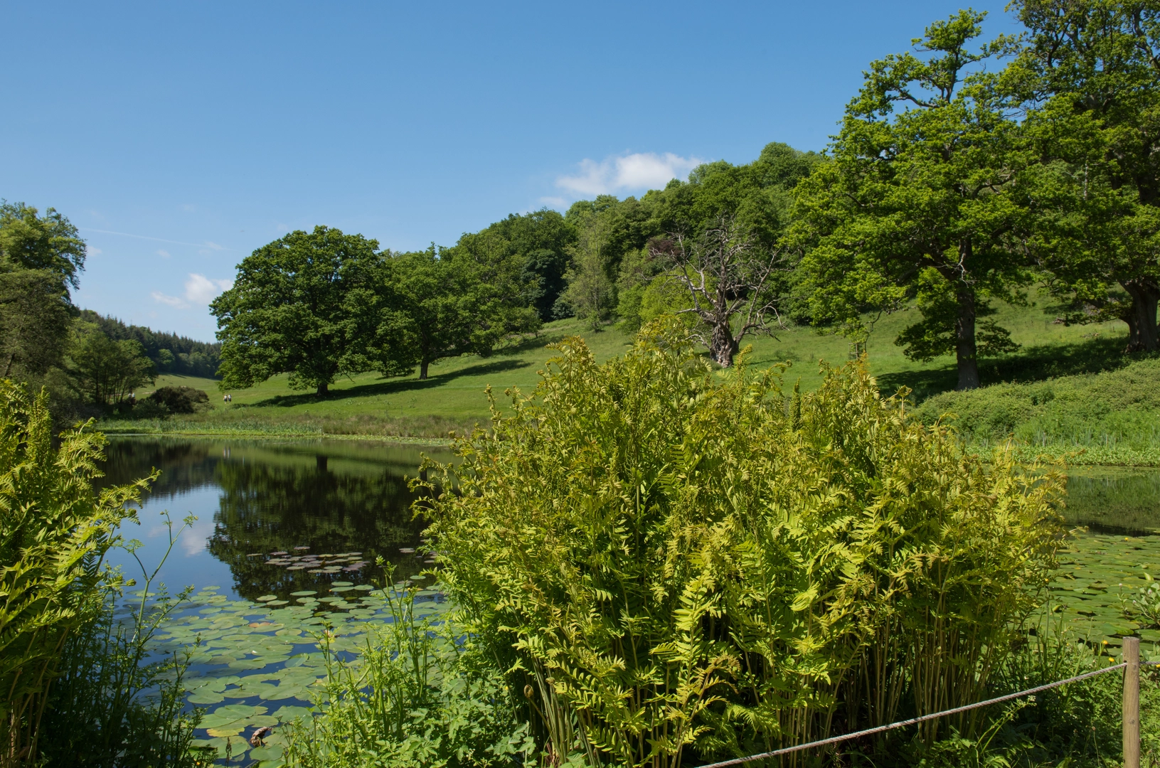 An image depicting the trail Shropshire Way - North Loop and its surrounding area.