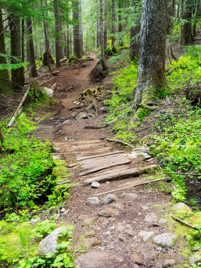 An image depicting the trail East Canyon Ridge Trail and its surrounding area.