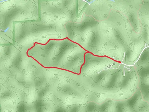 Trail 9 and Tailor Ridge Loop Trail