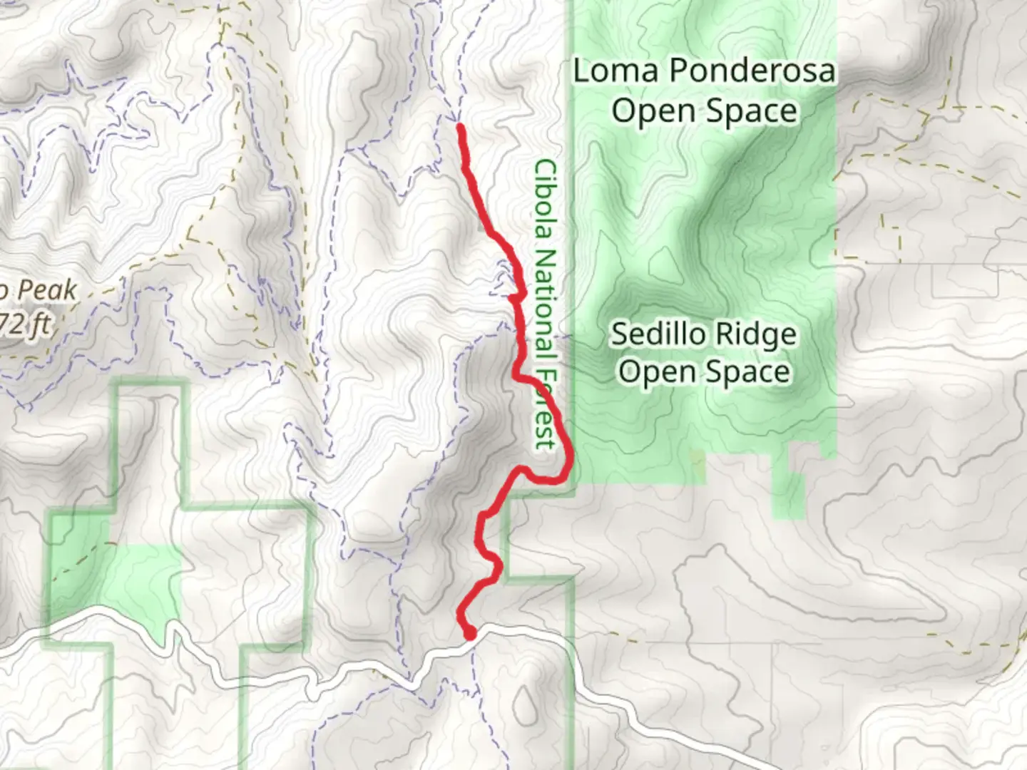An image depicting the trail Bear Scat and its surrounding area.
