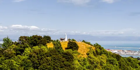 An image depicting the trail Botanical Hill Loop and its surrounding area.