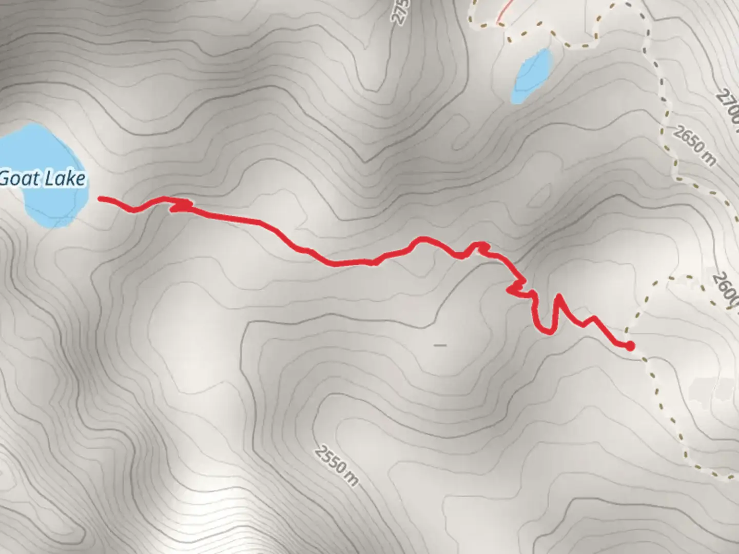 An image depicting the trail Goat Lake Trail and its surrounding area.