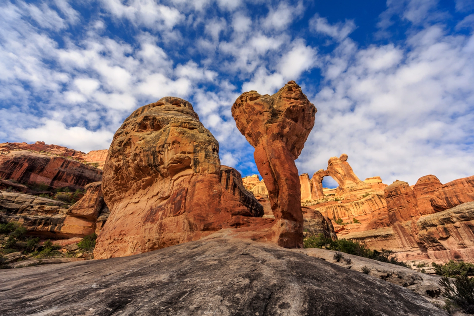 An image depicting the trail Angel Arch from Salt Flats Trail and its surrounding area.