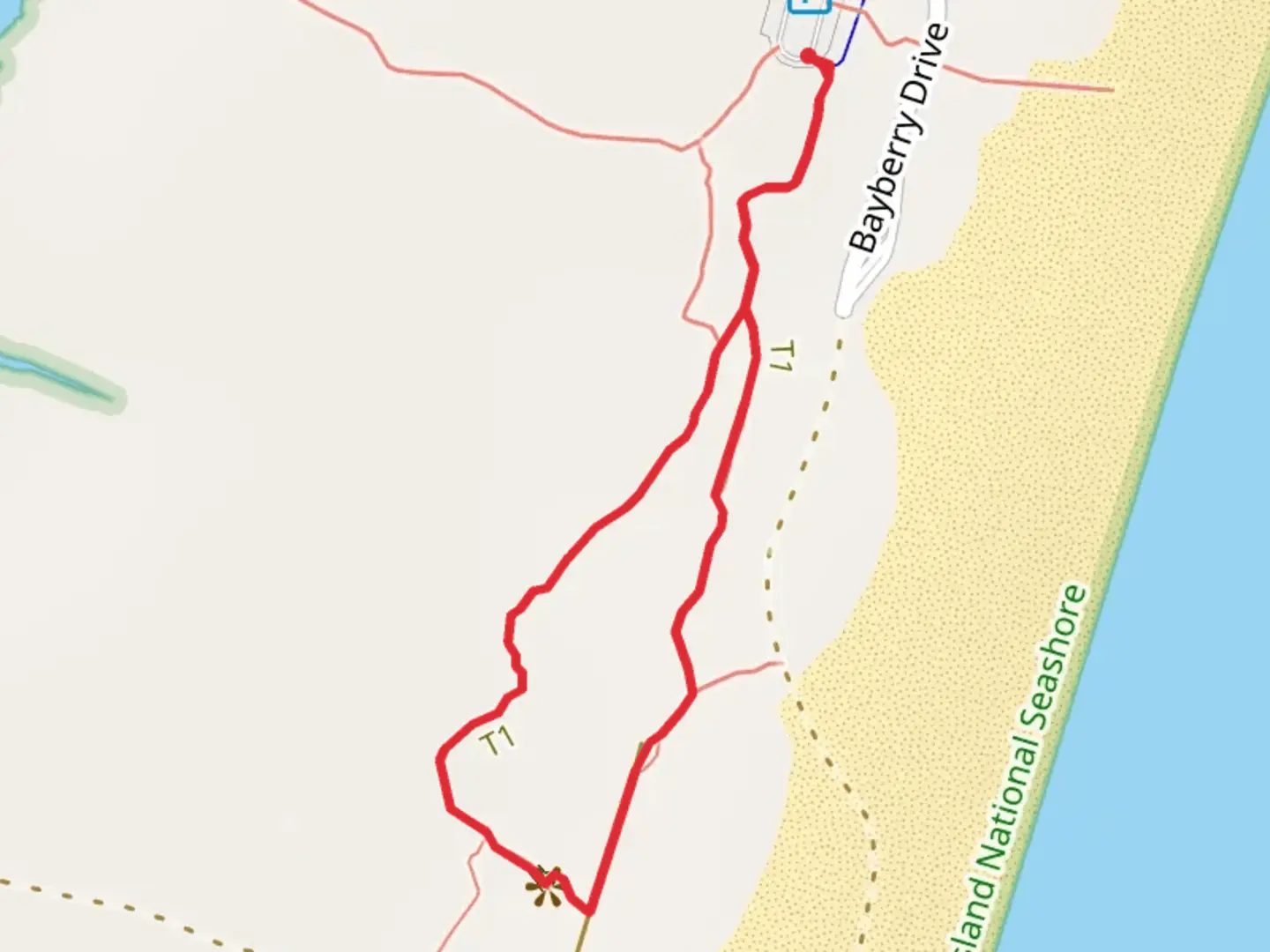 An image depicting the trail Life on the Dunes Loop Trail and its surrounding area.