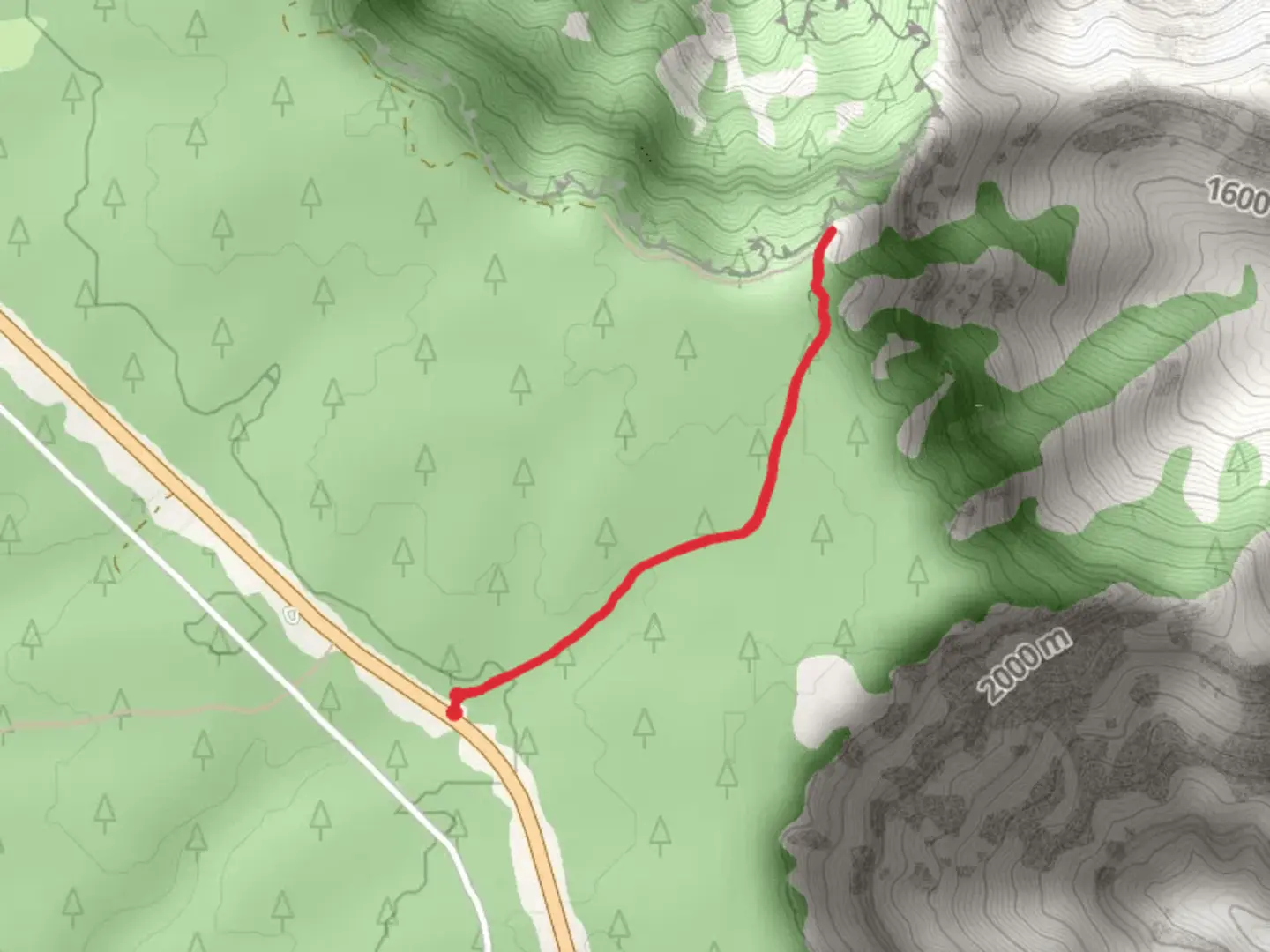 An image depicting the trail East Rim Drive and its surrounding area.