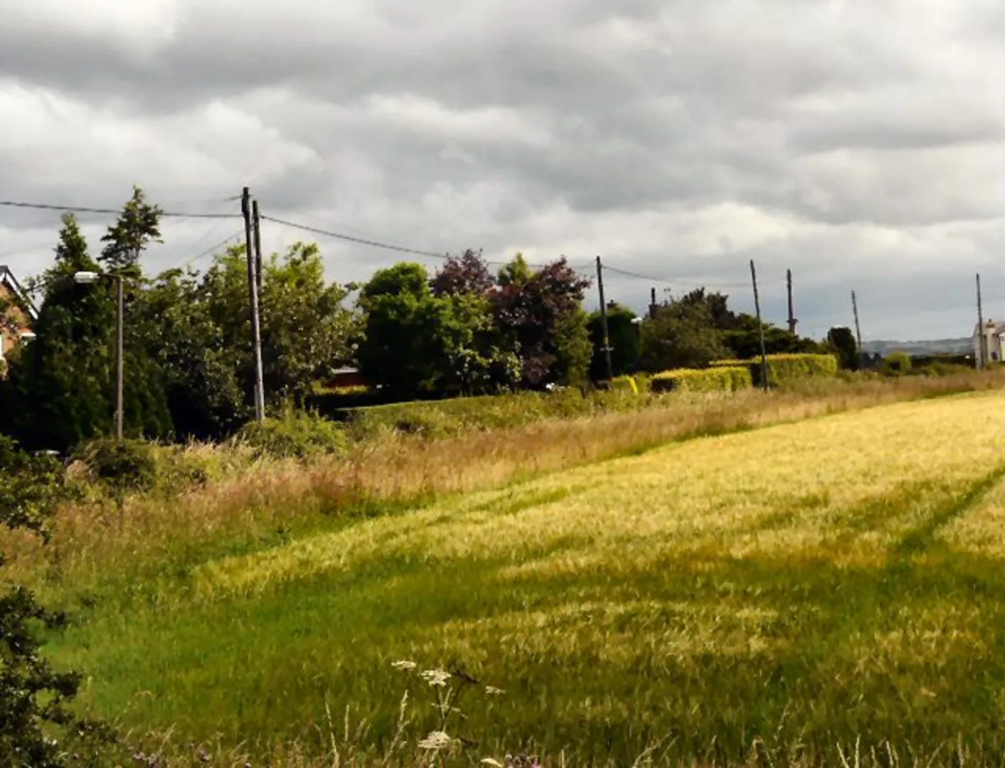 An image depicting the trail Stanley Gate Loop Walk and its surrounding area.